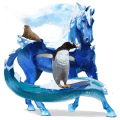 pegasový poník shetlandský pony škvrnitý šedý