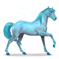 kôň dúhy lovely blue