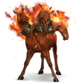 jazdecký kôň camargue svetlošedý