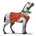 jazdecký kôň arabský kôň beluš