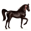 Ťažný kôň kôň ban'ei svetlý hnedák