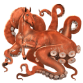 divoký kôň obrovská chobotnica