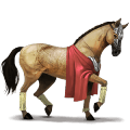 jazdecký kôň škvrnitý šedý