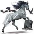 jazdecký kôň shagya arabian svetlý hnedák