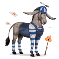 poník fjord brunblakk