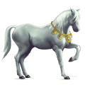 jazdecký kôň arabský kôň čierny