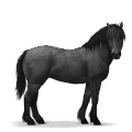 prehistorický kôň lesný kôň
