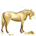 poník connemarský pony svetlý hnedák