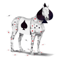 jazdecký kôň gypsy vanner čierny tobiano