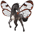 poník brunblakk
