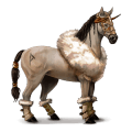 jazdecký kôň arabský kôň svetlý hnedák