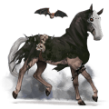 jazdecký kôň francúzsky jazdecký kôň palomino