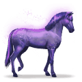 kôň dúhy devoted indigo