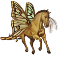 jazdecký kôň quarter horse svetlošedý