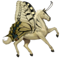 jazdecký kôň shagya arabian škvrnitý beluš
