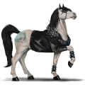 jazdecký kôň hannoverský kôň čierny