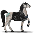 jazdecký kôň appaloosa gaštanový leopard