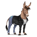 jazdecký kôň anglický plnokrvník červený beluš