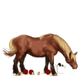 jazdecký jednorožec americký paint horse gaštanový tobiano