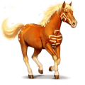 božský kôň wikaïla