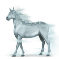 vodný kôň rosa