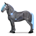jazdecký kôň gypsy vanner Čierny