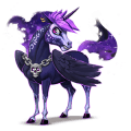 poník shetlandský pony tmavý hnedák