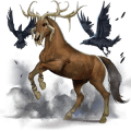 poník shetlandský pony gaštanový