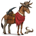 jazdecký kôň americký paint horse ryšiak overo