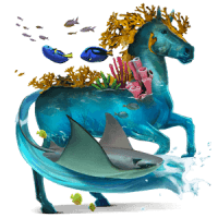 corail_v1713961017.png