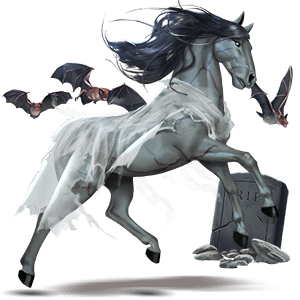 poník fjord brunblakk