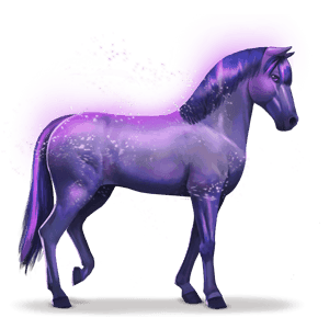 kôň dúhy devoted indigo