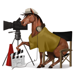 jazdecký kôň americký paint horse sivý tobiano
