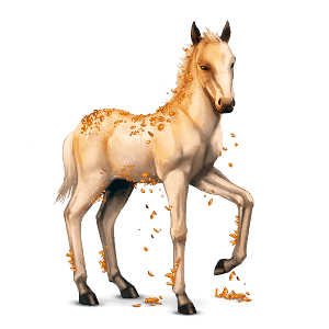 drahokamový kôň topaz