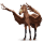 vtáčí putovný kôň aquila