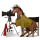 putovný kôň režisér