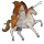 putovný kôň marpesia zerynthia