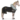 sfarbenie koňa anne z rakúska