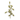 ovos