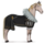 jazdecký kôň sfarbenie koňa anne z rakúska