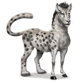 divoký kôň snežný leopard