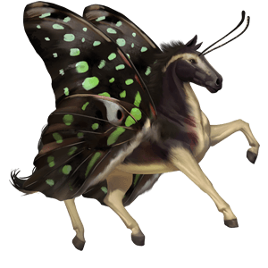 jazdecký kôň achaltekinský kôň tmavý hnedák