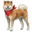 akita inu